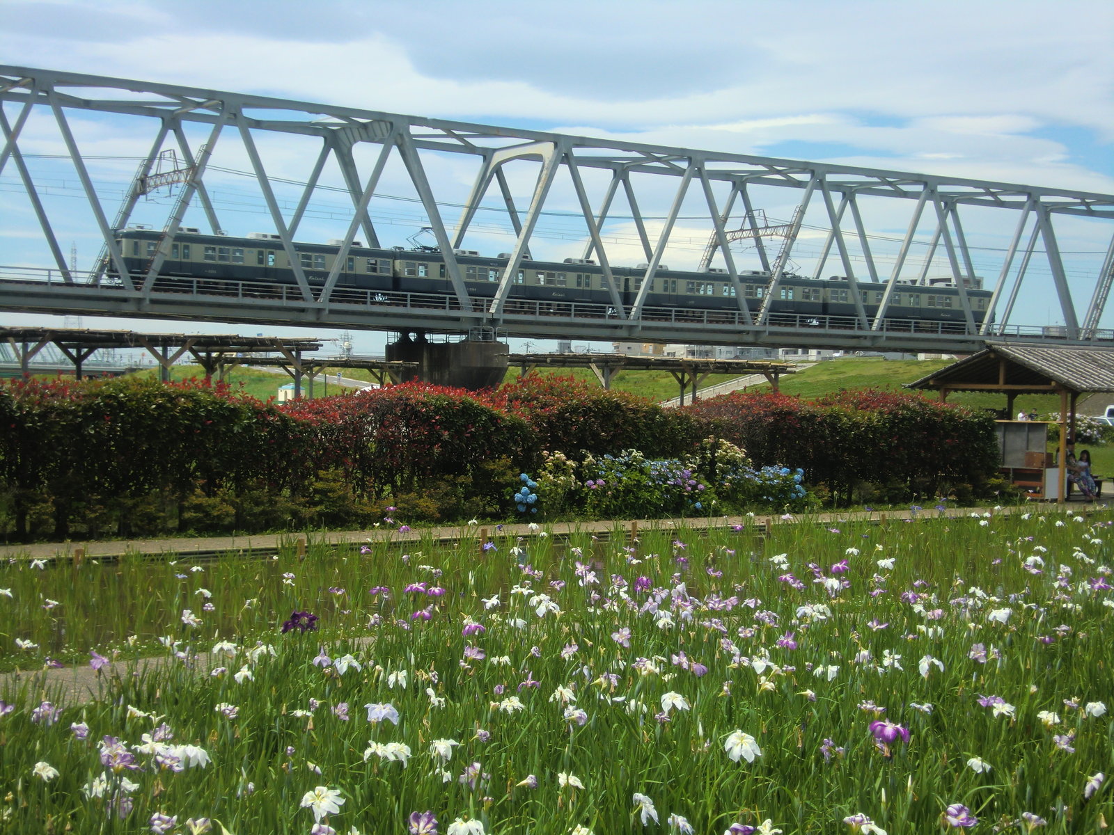 江戸川区