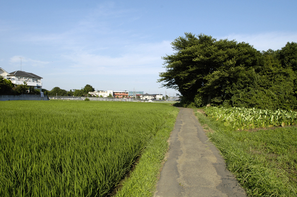 日野市